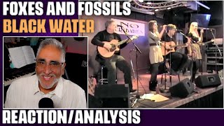 quotBlack Waterquot The Doobie Brothers Cover by Foxes and Fossils ReactionAnalysis [upl. by Bal]