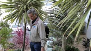 Inside SFO Episode 23 – Airport Landscapers [upl. by Elokyn]