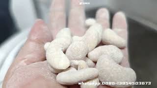 How to Make coated cashew nut  coated cashew nut  coating flour 300400kgh 600800kgh [upl. by Niahs]