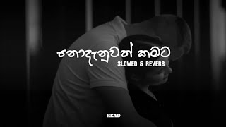 Nodanuwath Kamata  නොදැනුවත් කමට  Slowed and Reverb [upl. by Teraj]