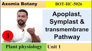 L3 apoplastsymplast and transmembrane Plant Physiology Dr Rajib BorahBsc Botany Axomia Botany [upl. by Belshin]