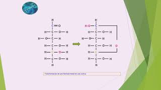 Ciclación de los monosacáridos [upl. by Ahsimek543]