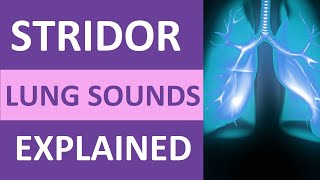 Stridor Lung Sound Audio Nursing NCLEX Review  Stridor Breath Sounds nursing [upl. by Rimola]