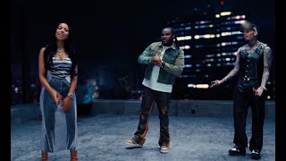 Tee Grizzley  IDGAF feat Chris Brown amp Mariah The Scientist Official Video [upl. by Dickson924]