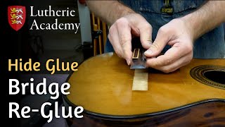 Bridge ReGlue with Hide Glue  Lutherie Academy [upl. by Ilario]