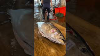 Epic Tuna Cutting Skills Master Slices a Giant Bluefin Tuna Like a Pro bluefintuna fish [upl. by Cohberg]