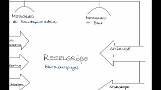 Regulation des Blutzuckerspiegels Regelkreis [upl. by Wistrup100]