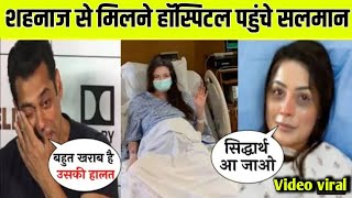 शहनाज से मिलने सलमान पहुंचे हॉस्पिटल  Shehnaz Gill latest update today  Shehnaz Gill news today [upl. by Ahsitra]