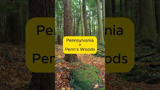 Pennsylvania The State Created to Settle a Debt shorts [upl. by Jerol]