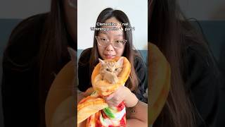 Clementine 🍊 is a SPICY PIZZA PURRITO 🌶️🍕🌯 babykittens catcare nailtrimming [upl. by Airak]