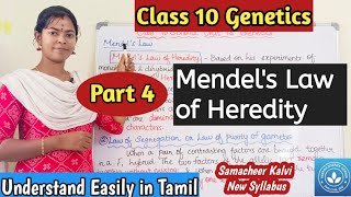 Mendels Law of Heredity Class 10 Science Unit 18 Genetics [upl. by Wenda]