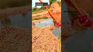 Small fish hunting fishing hunting hookfishing river ponds nature youtubeshorts fish [upl. by Schurman]