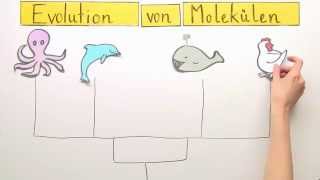 Die Evolution von Molekülen  Biologie  Evolution [upl. by Yuht]