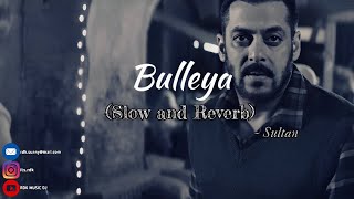 Bulleya Song  Salman Khan  Sultan Movie  Mein Bhi Naachu  Slowed and Reverb  2024 [upl. by Shedd]