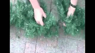 How to hang a Christmas garland with ease [upl. by Collin365]