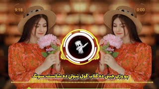 posto new song pashto tapaypashto tapay 2024 gul rukhsar new song 2024 [upl. by Adianez]