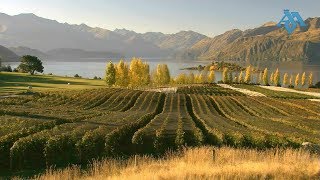 Wanaka New Zealand  Discover it now  Best Activities amp Accommodation [upl. by Kallick]