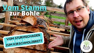 Vom Stamm zum Brett  Holzbohlen sägen 👷 [upl. by Ettelorahc455]