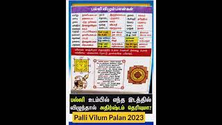 Palli Vilum Palan 2023 [upl. by Crofton2]