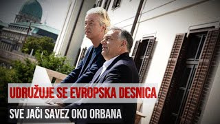 I holandska i španska desnica bi da se pridruže Orbanovim quotPatriotama za Evropuquot [upl. by Lodmilla720]