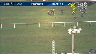 Pegasus World Cup Turf 2019  Gulfstream Park Race 11  January 26 2019 [upl. by Merton]