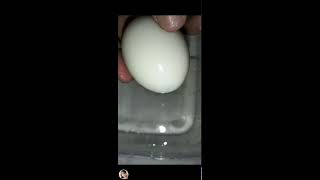 ILONGGA VLOGs is live CRACKING PEELING WHITE DUCK EGG SO YUMMY trending viralvideo [upl. by Lesslie]