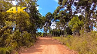 Guarapuava • Entre Rios • Paraná 4K [upl. by Botzow]