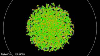 Simulation of melanosome dispersion [upl. by Twila]