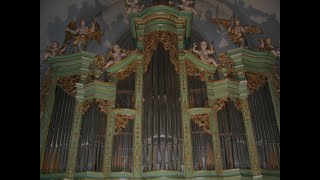 Kuchar  Fantasie in gMoll Roman Jungegger Orgel St Othmar Mödling [upl. by Trow]