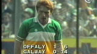 1981 All Ireland Hurling Final Offaly v Galway Second Half [upl. by Arim]