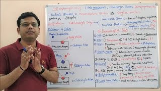 Anticholinergic Drugs I Antimuscarinic Drug  Cholinergic Blocker  Para sympatholytic Drugs HINDI [upl. by Annat42]