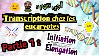 Biologie moléculaire En Arabe Transcription Chez les Eucaryote  SVI S5 Partie 1 [upl. by Bromleigh]