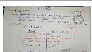 General mycology in brief rapid [upl. by Notlef320]