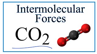 Intermolecular Forces for CO2 Carbon dioxide [upl. by Grete971]