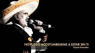 Vicente Fernandez  No Puedo Acostumbrarme A Estar Sin Ti [upl. by Irrak]