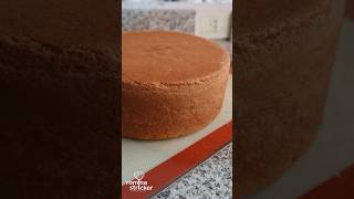 BIZCOCHUELO PERFECTO  COMO CORTARLO đź¤© recetas pasteleria recetasfaciles [upl. by Aerb]