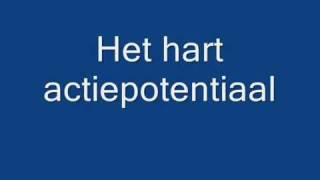 Het hart actiepotentiaalwmv [upl. by Enileoj]