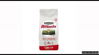 Pennington The Rebels Tall Fescue Grass Seed Mix 7 lb Review [upl. by Ynhoj]