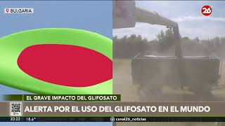 GLIFOSATO El pesticida asesino se sigue prohibiendo en el mundo  26Planeta [upl. by Eihtak]