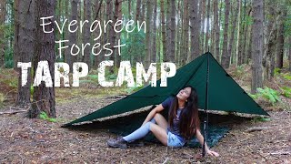 Stealthy Solo Tarp Camp in Evergreen Forest 🌲 Wild Camping UK [upl. by Leund]