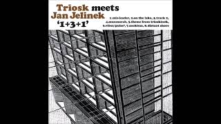 Triosk  Jan Jelinek  131 2003 Full Album [upl. by Ayanaj]