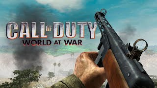 Call of Duty World at War  All Weapons [upl. by Cleve]