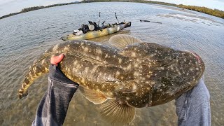 Kayak Fishing for GIANT Fish [upl. by Rie]