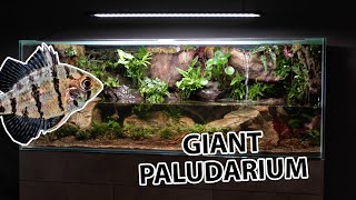 The ultimate paludarium  by aquacreate [upl. by Winzler]