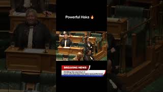 Powerful Haka in Parliament [upl. by Jac685]