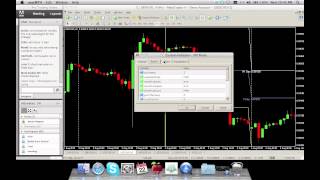 The Urban Forex Pro Trading Strategy Basics [upl. by Anderea754]