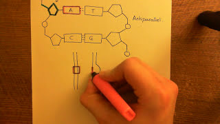 Antisense Oligonucleotides Part 1 [upl. by Shawna236]