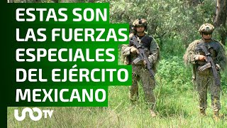 Agrupamiento élite del Ejército y Fuerza Aérea Mexicanos [upl. by Hut102]