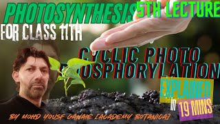 PHOTOSYNTHESIS  CYCLIC PHOTOPHOSPHORYLATION  CLASS 11TH  MOHD YOUSF GANAIE  5TH LECTURE [upl. by Nnaitsirhc]