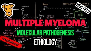 MULTIPLE MYELOMA Etiology Molecular Pathogenesis MGUS and Smoldering myeloma diagnostic criteria [upl. by Delorenzo]